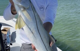 fishing charters Anna maria