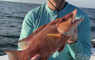 fishing charters Anna maria